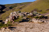Chip at Ensign Peak-1758