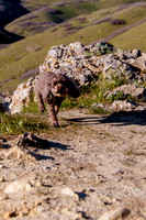 Chip at Ensign Peak-1722