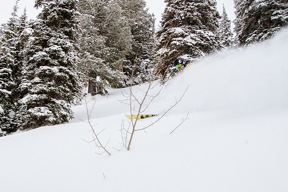 Phil Cannon at Snowbasin 1-12-17-8913