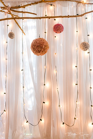 Wedding at Pierpont Place _DSC3256
