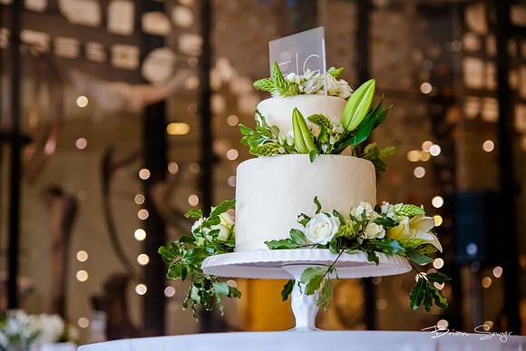 Pierpont Place Wedding at Natural History Museum 8956