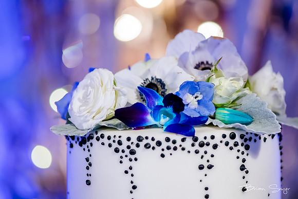 George and Jana's wedding at Monaco Hotel and Pierpont Place-2368