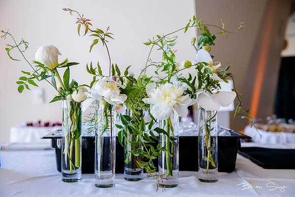 Pierpont Place Wedding at Natural History Museum 8930