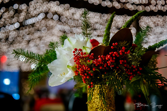 2018 Strayer University Holiday Party at Pierpont Place _DSC7559