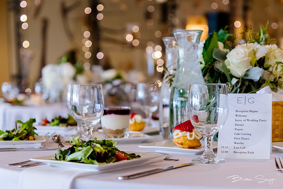 Pierpont Place Wedding at Natural History Museum 8954