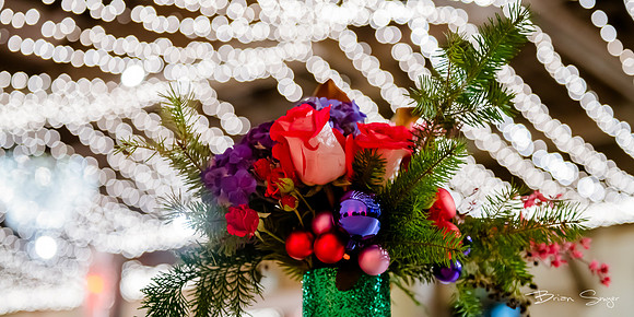 2018 Strayer University Holiday Party at Pierpont Place _DSC7596