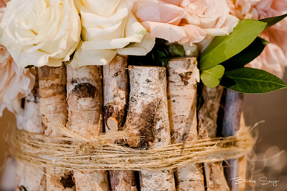 Wedding at Pierpont Place _DSC3601