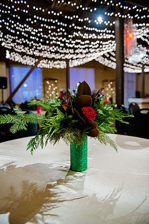 2018 Strayer University Holiday Party at Pierpont Place _DSC7569-2