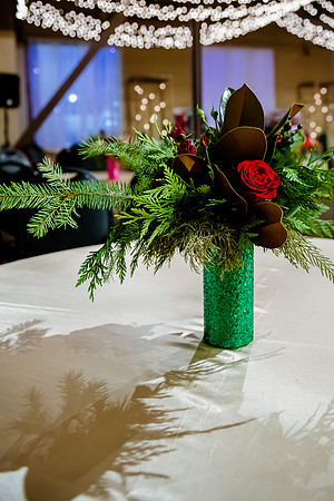 2018 Strayer University Holiday Party at Pierpont Place _DSC7569