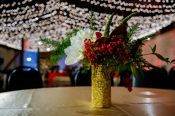 2018 Strayer University Holiday Party at Pierpont Place _DSC7558