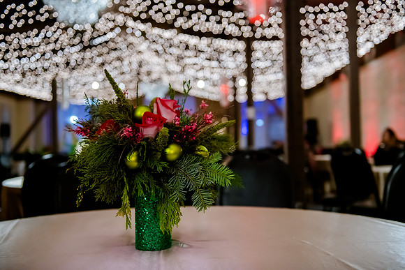 2018 Strayer University Holiday Party at Pierpont Place _DSC7611