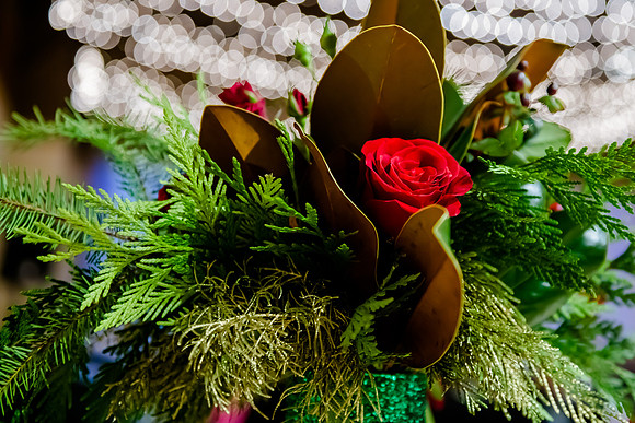 2018 Strayer University Holiday Party at Pierpont Place _DSC7572