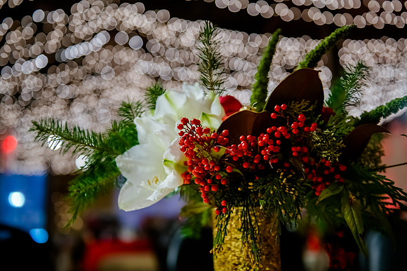 2018 Strayer University Holiday Party at Pierpont Place _DSC7559