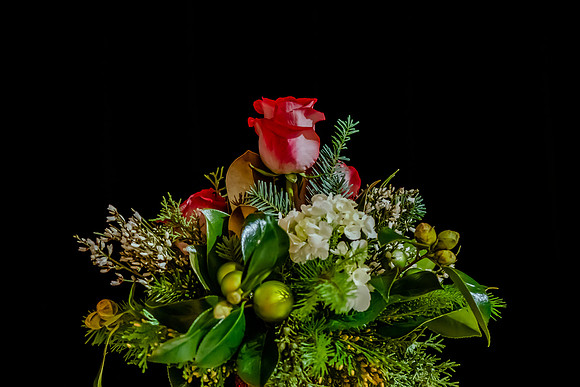 2018 Strayer University Holiday Party at Pierpont Place _DSC6392