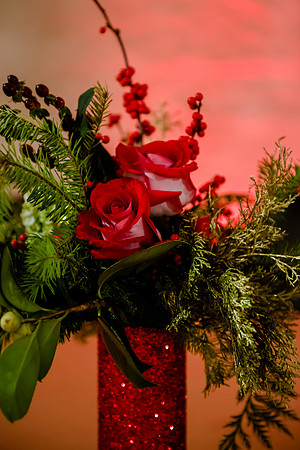 2018 Strayer University Holiday Party at Pierpont Place _DSC7554