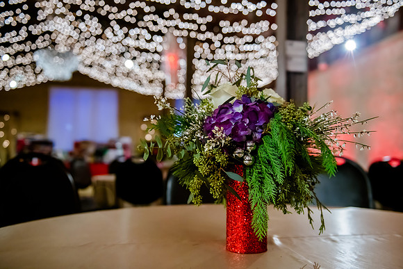 2018 Strayer University Holiday Party at Pierpont Place _DSC7603