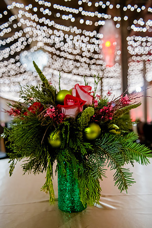 2018 Strayer University Holiday Party at Pierpont Place _DSC7543