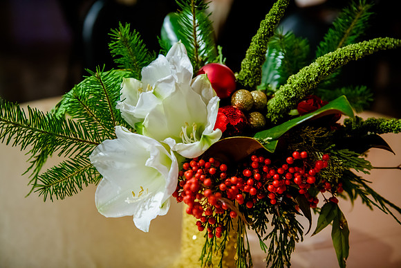 2018 Strayer University Holiday Party at Pierpont Place _DSC7561