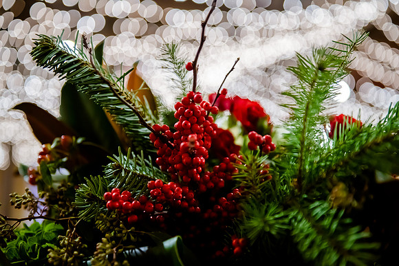 2018 Strayer University Holiday Party at Pierpont Place _DSC7566