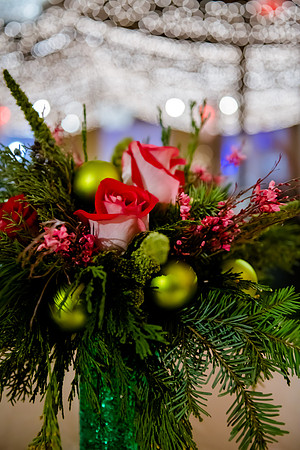 2018 Strayer University Holiday Party at Pierpont Place _DSC7546