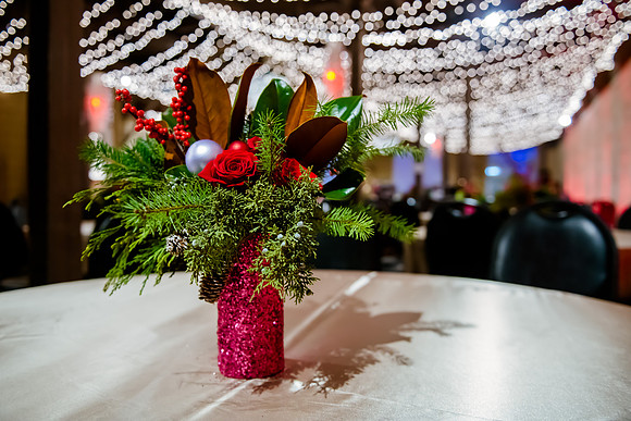 2018 Strayer University Holiday Party at Pierpont Place _DSC7551