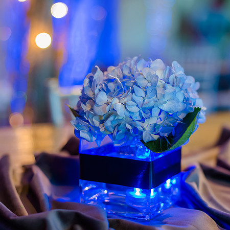 George and Jana's wedding at Monaco Hotel and Pierpont Place-0079
