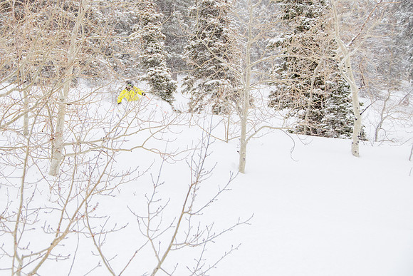 Phil Cannon at Snowbasin 1-12-17-9009