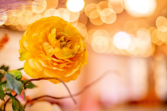 Smyer Image-Utah Weddings Magazine Editorial — Pierpont Place 20th Anniversary-30