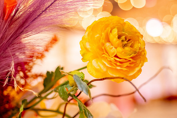 Smyer Image-Utah Weddings Magazine Editorial — Pierpont Place 20th Anniversary-31