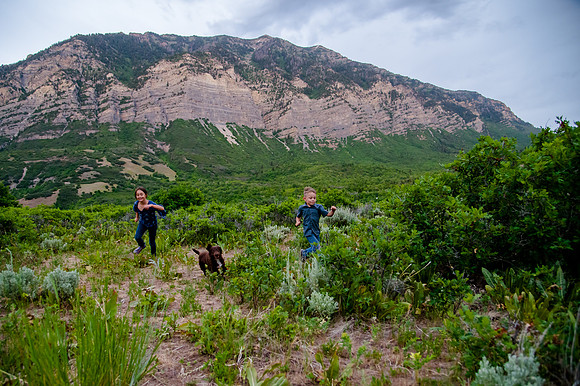 Provo Canyon 6-25-20207942