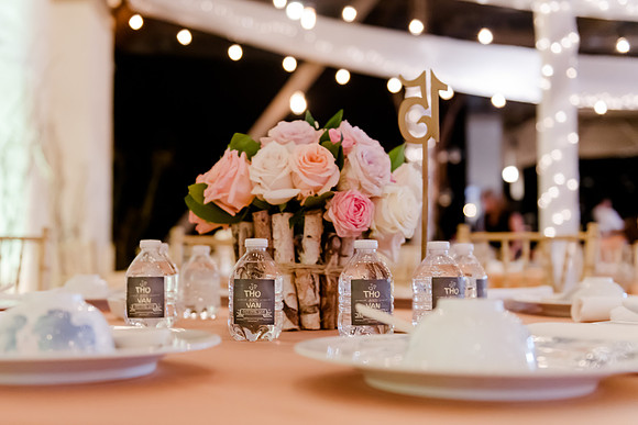 Wedding at Pierpont Place _DSC3683