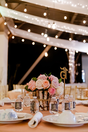 Wedding at Pierpont Place _DSC3663