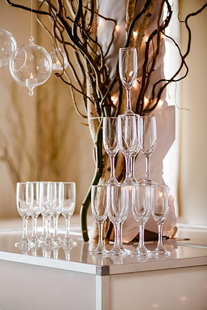 Wedding at Pierpont Place _DSC3523