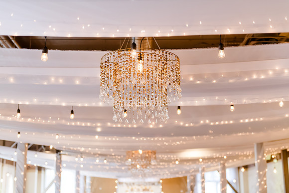 Wedding at Pierpont Place _DSC3283
