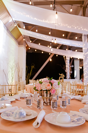 Wedding at Pierpont Place _DSC3148