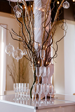 Wedding at Pierpont Place _DSC3214