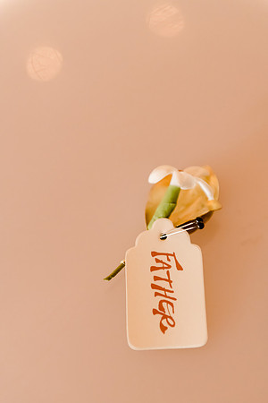 Wedding at Pierpont Place _DSC3606