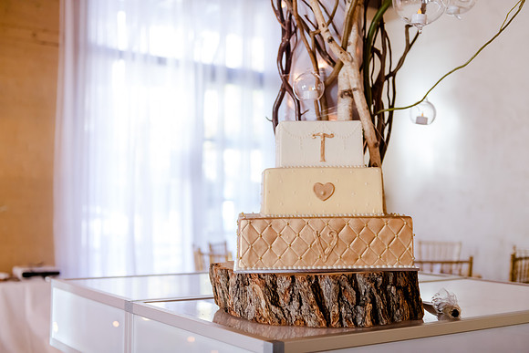 Wedding at Pierpont Place _DSC3171