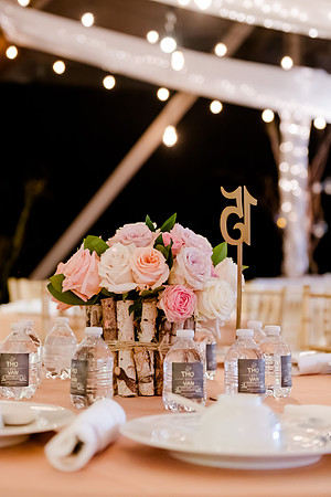 Wedding at Pierpont Place _DSC3667
