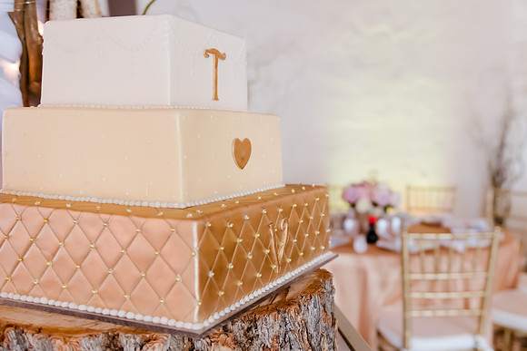 Wedding at Pierpont Place _DSC3175