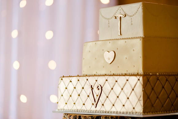 Wedding at Pierpont Place _DSC3502