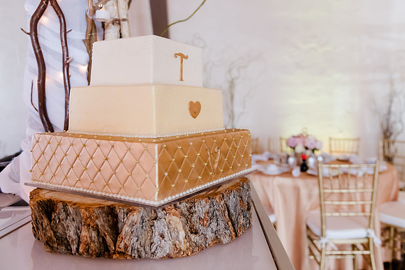 Wedding at Pierpont Place _DSC3177