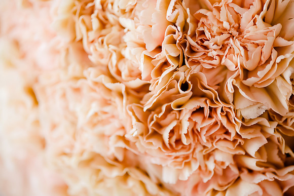 Wedding at Pierpont Place _DSC3342
