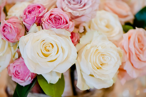 Wedding at Pierpont Place _DSC3325