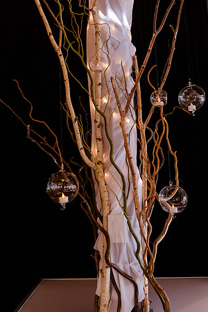 Wedding at Pierpont Place _DSC3089