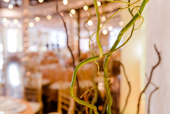 Wedding at Pierpont Place _DSC3266