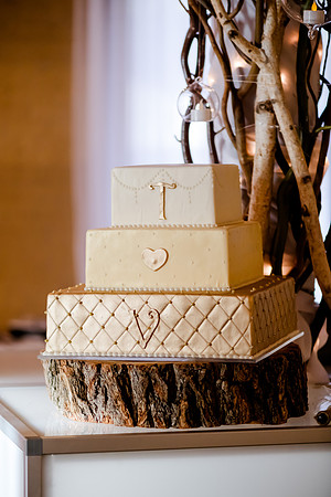 Wedding at Pierpont Place _DSC3461