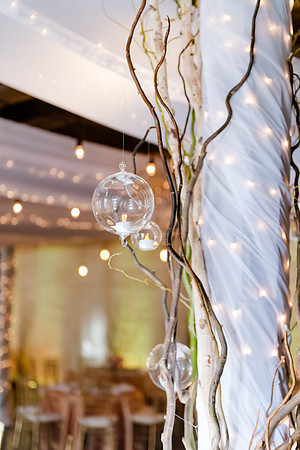 Wedding at Pierpont Place _DSC3286