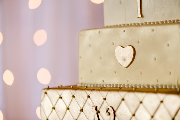 Wedding at Pierpont Place _DSC3496