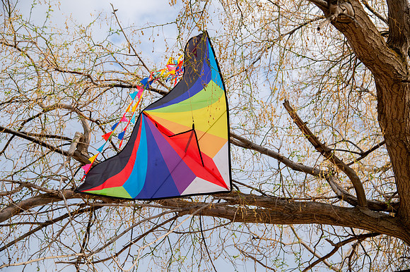 Stark Family Golden Hour Kite Flying Session Smyer Image 5422